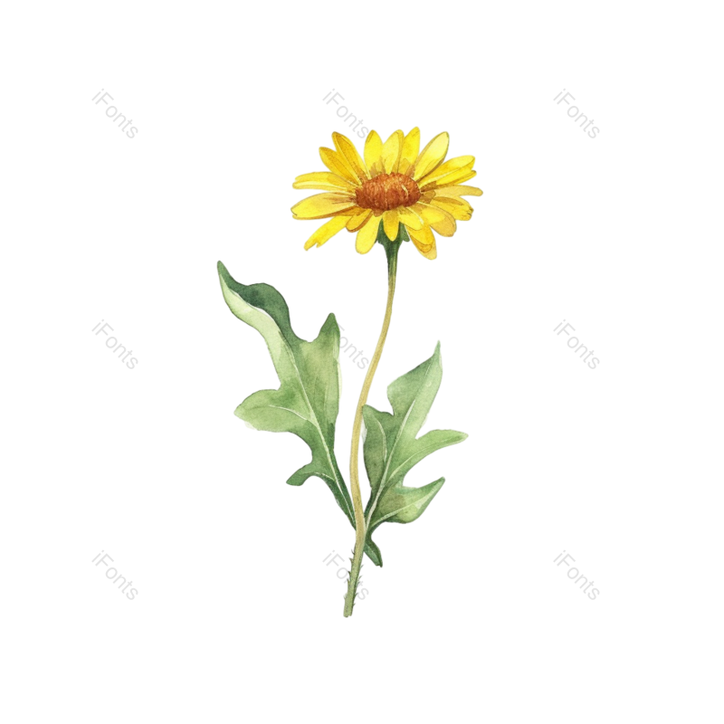 向日葵手绘图片,花卉元素,花草PNG,花朵免抠素材